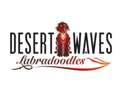 Desert Waves Labradoodles